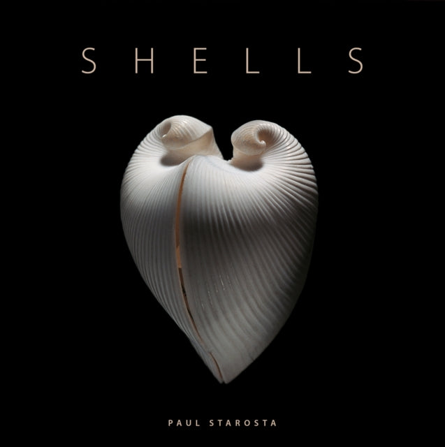 Shells 9791254600825 Jacques Senders