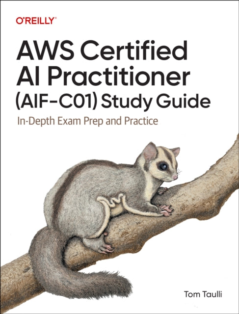 Book cover of: AWS Certified AI Practitioner Study Guide