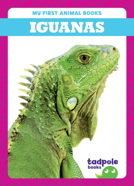Book cover of: Iguanas. By: Deniston