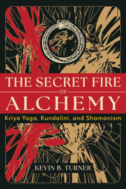 Book cover of: Secret Fire of Alchemy
