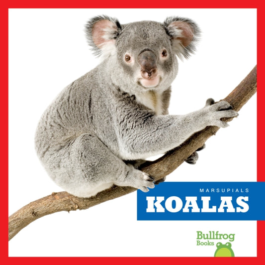 Book cover of: Koalas. By: Deniston