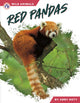 Book cover of: Red Pandas. By: Abby Doty